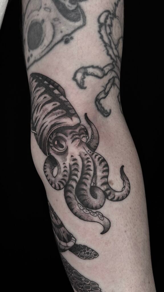 tattoo-illustrativo-calamar