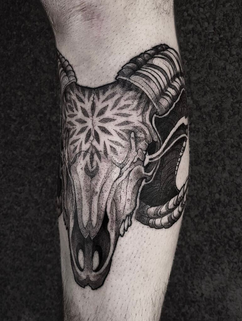 tattoo-illustrativo-craneo-carnero