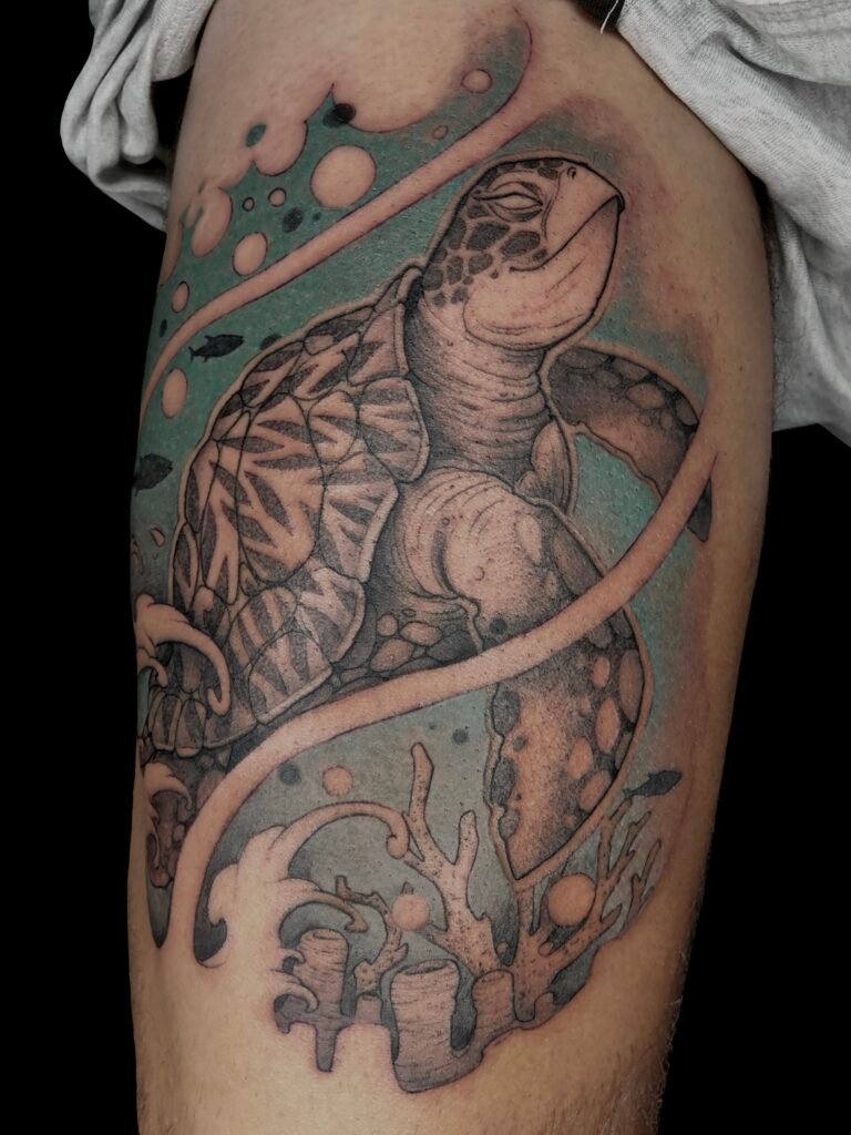 tattoo-illustrativo-tortuga