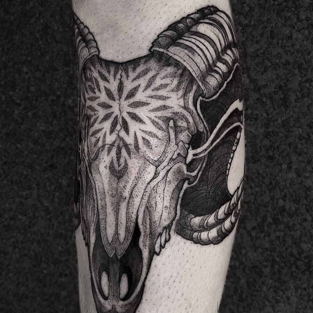tattoo-illustrativo-craneo-carnero
