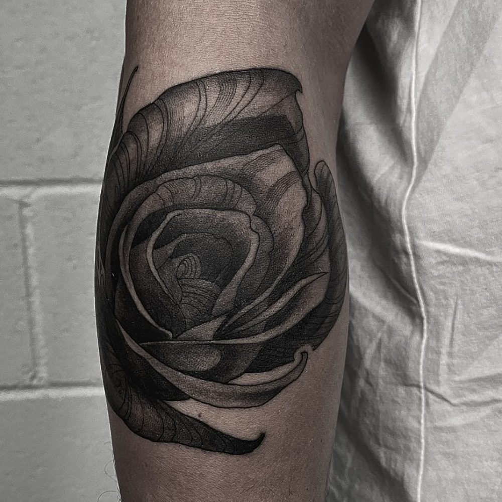 tattoo-illustrativo-rosa