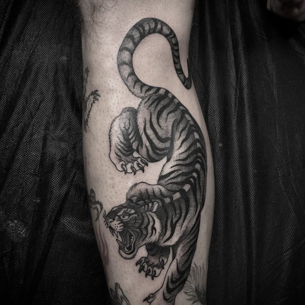 tattoo-japones-dibujo-manga-tigre